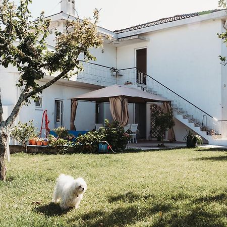 A Casa Da Estrela - Albergue De Peregrinos Fajozes Esterno foto